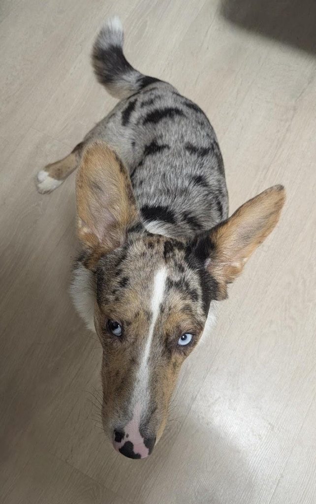 Что-то хотел сказать